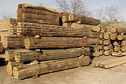Wood for carpenters